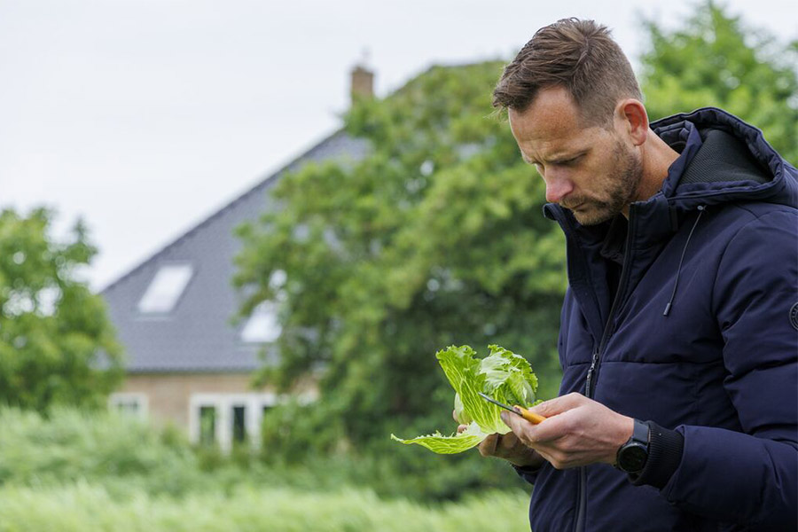 Peter Sonneveld, Crop Coordinator Lattuga di Rijk Zwaan
